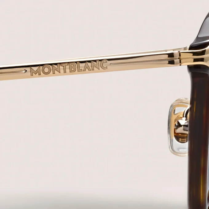 Runda solglasögon med havannaacetatbåge